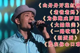 这才是最强男高音！阿宝7首经典歌曲合集，伤感催泪百听不厌