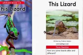 Ashley陪你读英语绘本 原版英文进阶阅读 This Lizard视频封面