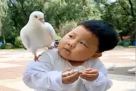 萌宝去广场喂鸽子，不料被鸽子飞到肩膀上，接下来萌宝的反应太逗视频封面