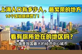 2021上海市人口普查统计，上海最繁荣的地方？16个区给你讲透了视频封面