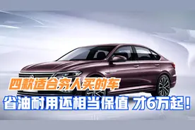 4款适合穷人买的大众车，省油耐用还保值，才6万起老司机都说好！