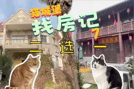 新猫城堡的房子终于定了，你们猜这次需要多久才能打造好呢？