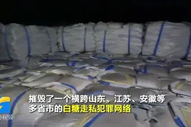 山东破获一起特大白糖走私案,抓获嫌疑人50名,初查涉案金额123亿视频封面