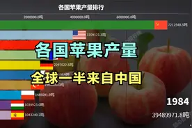 中国苹果产量世界第一 完全碾压级别 全球各国苹果产量排行视频封面