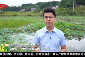 主播看四川（67）南充南部县视频封面
