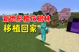 我的世界1.20联机19：找到新地形樱花树林，移植回家，家园大变样