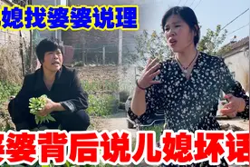 婆婆背后说儿媳坏话，被儿媳妇听到逼她道歉，老公夹在中间做好人视频封面
