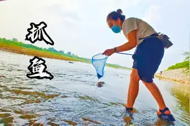 保定以北不到10公里，免费带孩子玩水捕鱼，水浅鱼多还不会被晒视频封面