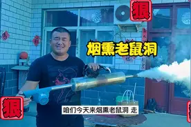 如何对付住在墙里的老鼠？今天我用烟熏它视频封面