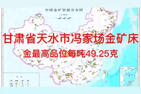 甘肃省天水市冯家场金矿床视频封面