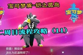 宝可梦剑盾-挑战水之塔，熊徒弟参悟水之奥义，进化武道熊师视频封面