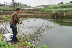 抛竿钓鲫鱼，这种钓法绝对少见，上鱼超快！