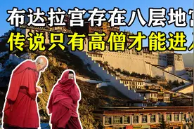 布达拉宫存在八层地宫？传说只有高僧才能进入，真相如何？视频封面