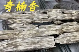 网友都问老林一棵奇楠有多少香，有什么用处，今天老林带大家看看视频封面