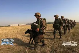 特战旅军犬挑战高空跳伞视频封面