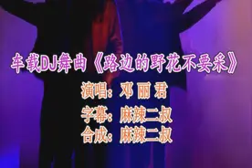 车载DJ舞曲《路边的野花不要采》邓丽君演唱高音质DJ版1080P高清视频封面