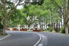 带你看武汉：实拍中国最大的城中湖东湖华中地区最大的风景游览地视频封面