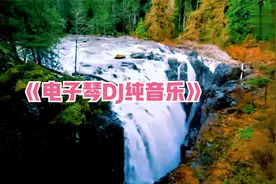 电子琴DJ版纯音乐30首合集