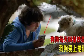 狗狗爱上抢银行，每天叼着钞票回家，主人都蒙了，搞笑片视频封面
