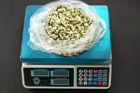 路边摊购物担心缺斤短两，教你一招，以后每次购物都够称视频封面