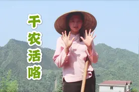 95后小妹顶着烈日给玉米除草，满手都长满老茧，看着让人心疼视频封面