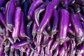 今天才知道，挑茄子要看眼睛，眼睛越大茄子越嫩，学会后别买错了