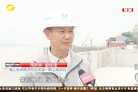 湘江东岸防洪标准提升至200年一遇将进入景观绿化恢复和亮化施工视频封面