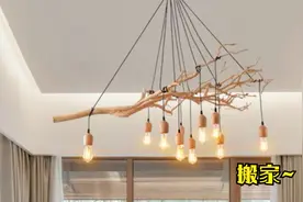 房东破产变卖房屋我流浪街头视频封面