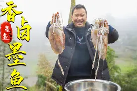 比脸还大的深海墨鱼！光墨水就有一斤，邻居没吃过直接海鲜当饭吃视频封面