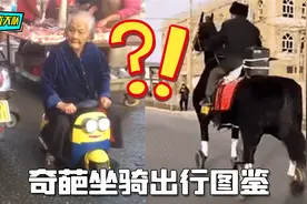 为了少走几步路，各种奇葩座驾都来凑数视频封面
