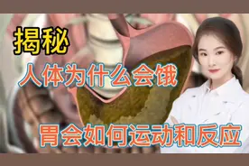 医学探秘 人体为什么会饥饿 胃部是如何运作和反应的 看完你懂