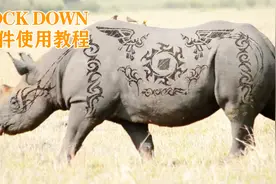 Lockdown插件使用教程-2视频封面