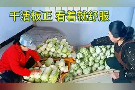 白菜放烂了，还能吃吗？胖嫂一颗颗摘干净，干活板正，看着就舒服视频封面