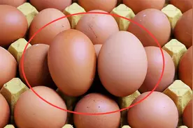 教你保存鸡蛋的小技巧，怎样存放时间长，快来试试吧视频封面