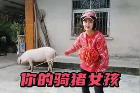 实拍重庆农村年猪大戏！骑猪，我是专业的视频封面