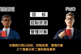 PMO和项目经理的角色差异