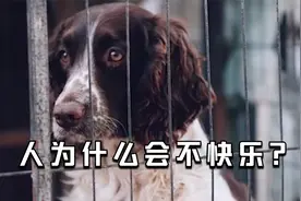 人为什么会不快乐？心理学家耗费30年，找到终极答案！