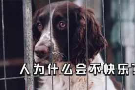 人为什么会不快乐？心理学家耗费30年，找到终极答案！视频封面