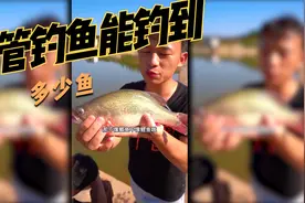 用水管钓鱼，看看能钓到多少鱼视频封面