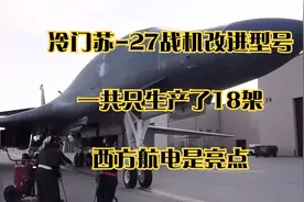 冷门苏-27战机改进型号，一共只生产了18架，西方航电是亮点视频封面