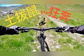 山地车骑行瑞士山脊，偶遇“土拨鼠”狂奔，跑得好快！视频封面