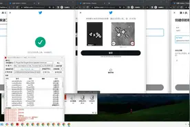 Twitter注册机-推特批量注册使用教程视频封面