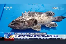 日本 福岛县近海一种海鱼又被测出辐射严重超标视频封面