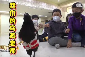 乌鸡老师教小朋友常识，小朋友送画册给乌鸡，老师：它很可爱视频封面