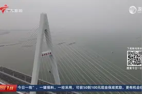 湛江：海上非法养殖 影响渔船出海正常作业视频封面