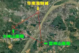 武汉华南海鲜城、火神山医院、雷神山医院、地理位置分别在哪里？