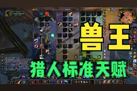【魔兽世界TBC】兽王猎人标准天赋，这回打副本看谁敢不给我工资视频封面