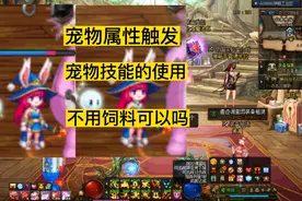 dnf宠物技能的释放，属性触发，没有宠物饲料可以吗，宠物使用视频封面