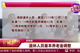 每人每月增加39元！吉林省退休人员基本养老金调整|守望都市视频封面