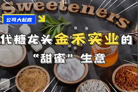代糖龙头-金禾实业的“甜蜜”生意视频封面